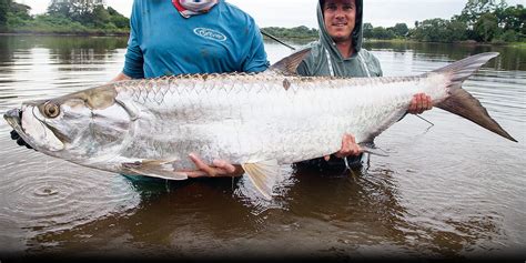 jungle tarpon reserve costa rica